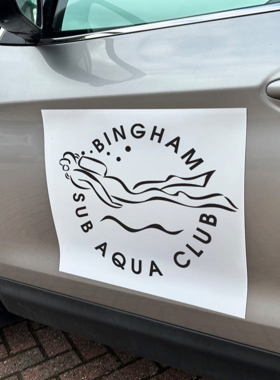 Vehicle magnet