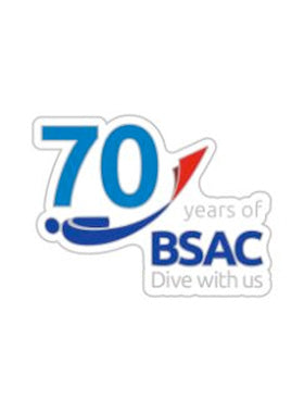 70th Anniversary Pin Badge