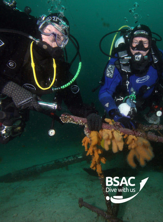 Deeper Diver eLearning