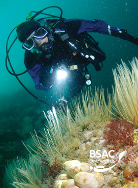 Dive UK