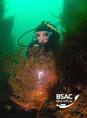 Ocean Diver