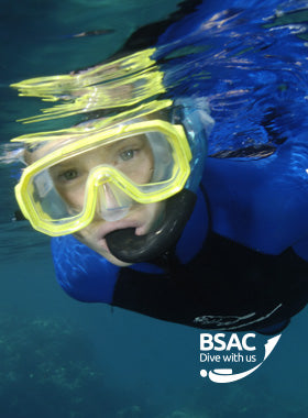 Snorkel Diver