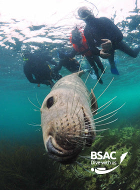 Snorkel Guide