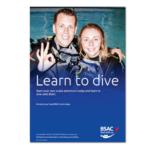 Learn to dive poster (Download)